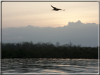 foto Isole Galapagos